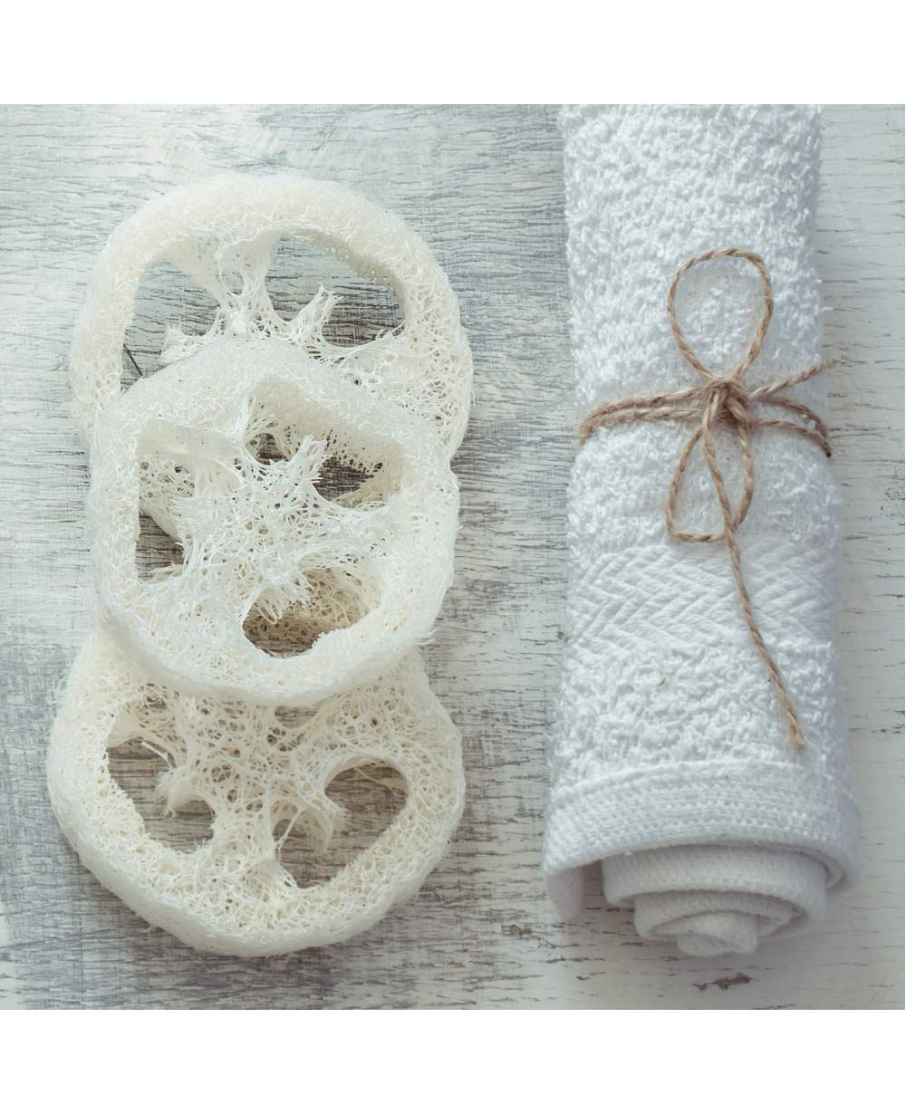 Elysia Pamper Kabak Lifi 3'lü